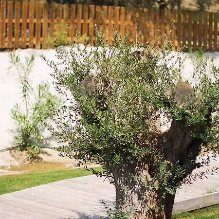 Aqua Bay Family 1st Floor מלון טסיליבי